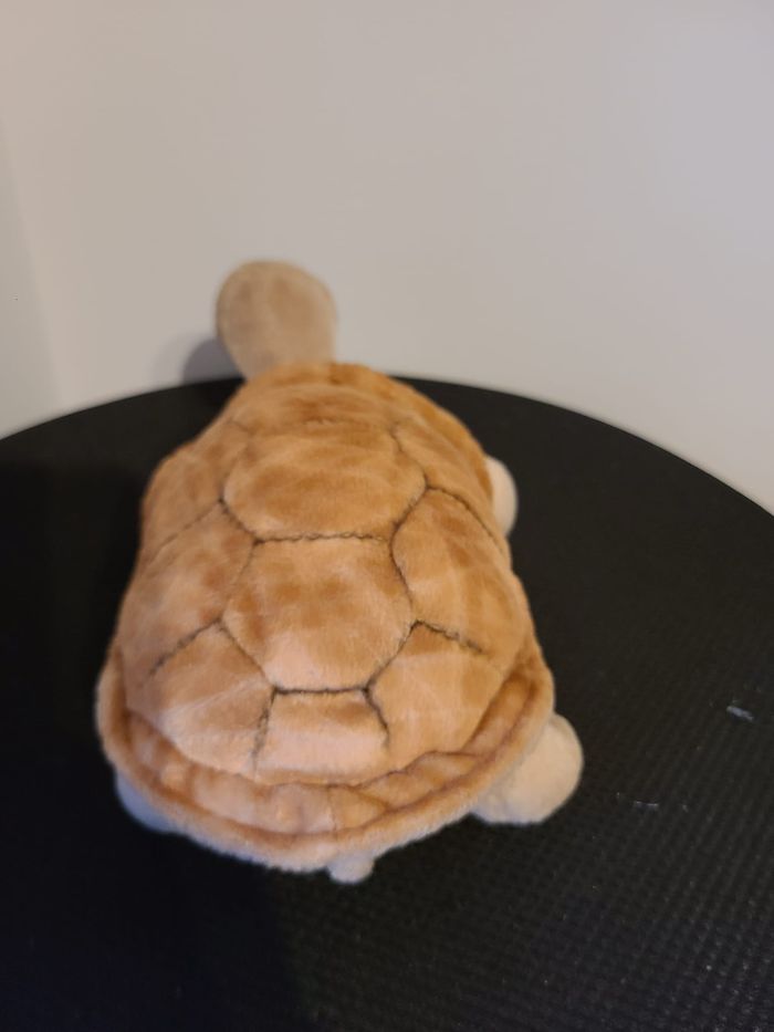 peluche tortue - photo numéro 4
