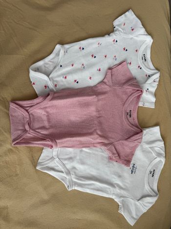 Lot bodies