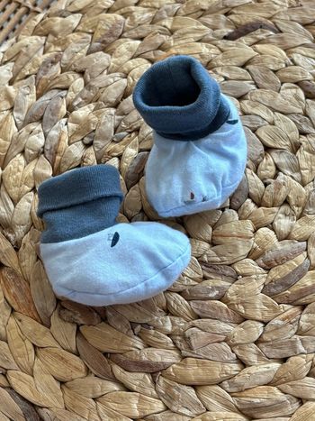 Chausson absorba