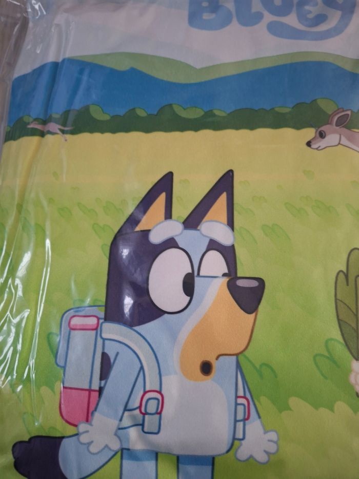 Coussin - photo numéro 7