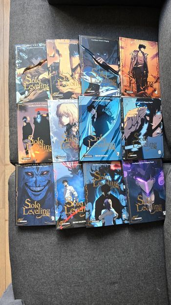 Lot webtoon solo leveling