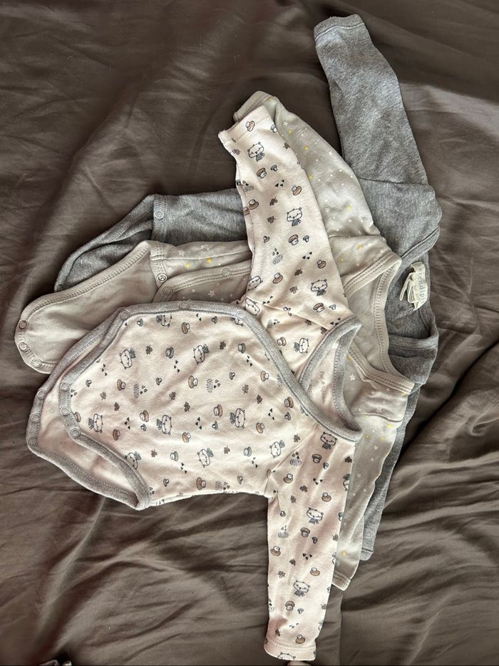 Lot body