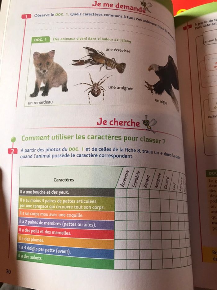 Les cahiers de la luciole CM1 Hatier - photo numéro 4