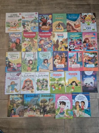 Lot de livres premiers romans CE1 - 2€ le livre