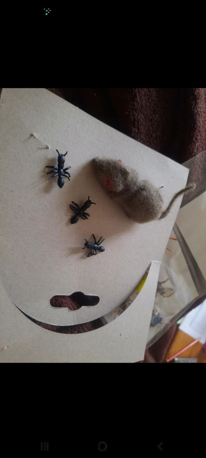 Lot figurine souris fourmis mini animaux idéal bouteilles sensorielle