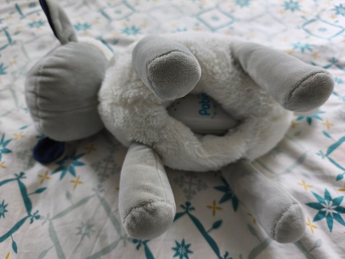 Mouton Pabobo - photo numéro 5