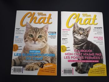 Lot 2 magazines chats