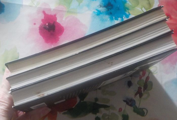 3 Cascade policier - photo numéro 4