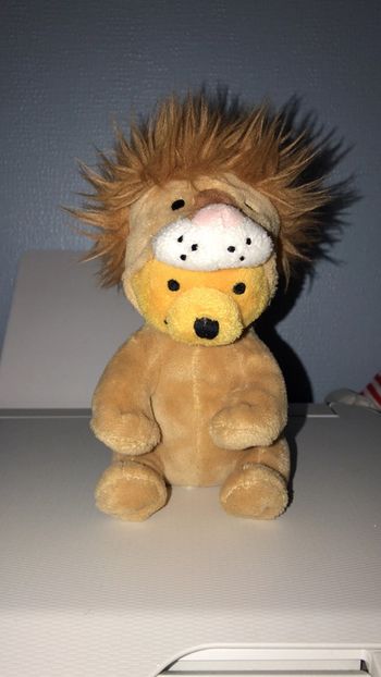 Peluche Winnie