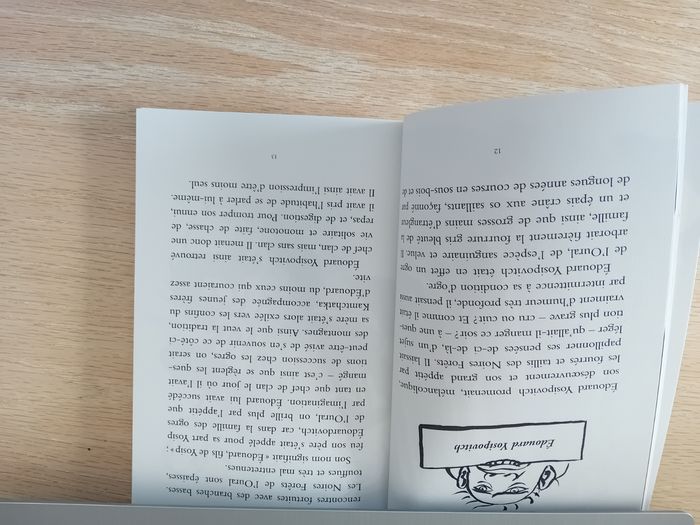 La romance de l'ogre Yosipovitch dès 8 ans - Neuf - photo numéro 2