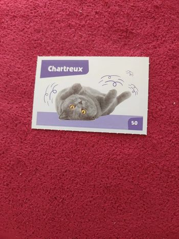 Carte nos amies les bêtes