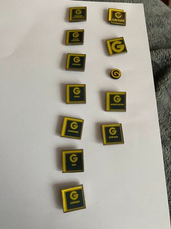 Lot de 12 pins Groupe Genest Entreprise de bâtiment