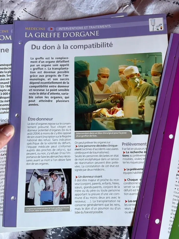 Lots de fiches anatomie physiologie santé - photo numéro 8