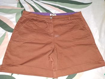 short camel gdm 46