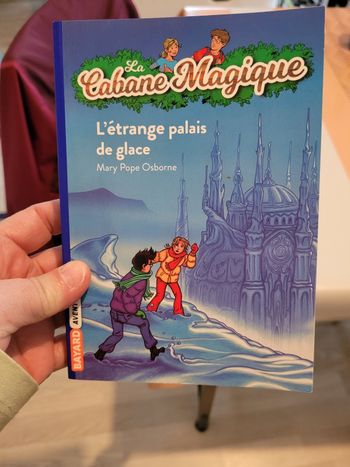 livre la cabane magique l étrange palais de glace 7+  (3e)
