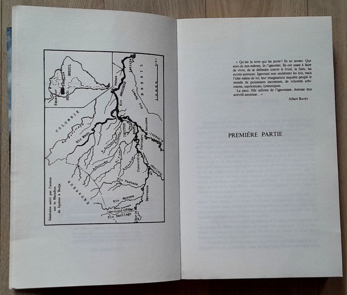 le forêt les devora - robert gaillard roman - photo numéro 7