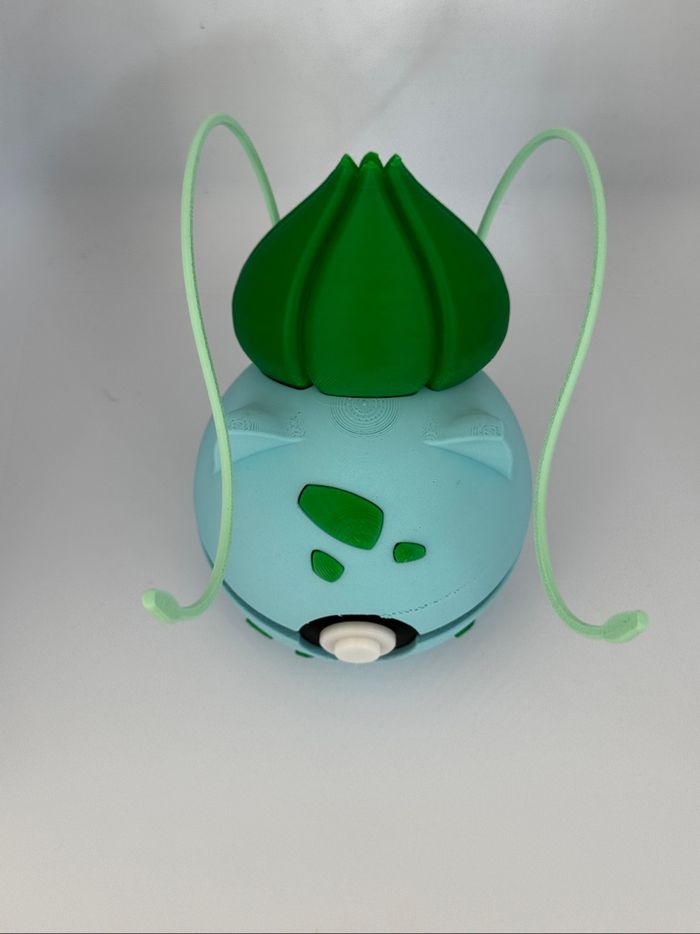Pokeball bulbizard - photo numéro 5