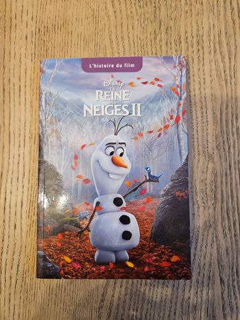 Livre Reine des Neiges 2