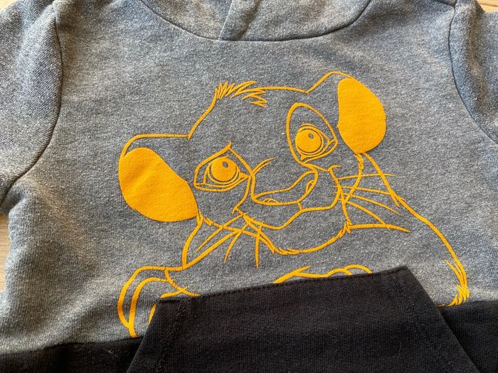 Sweat le roi lion 4 ans - photo numéro 2