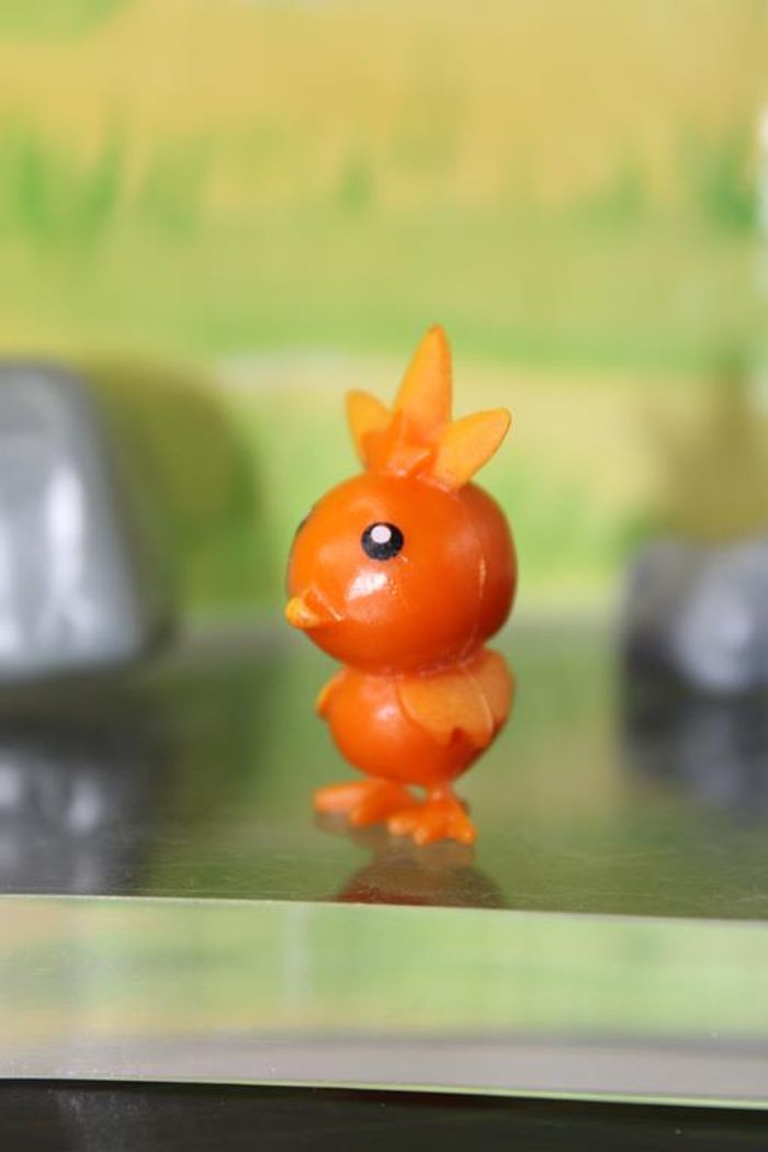 Pokemon Poussifeu - photo numéro 4