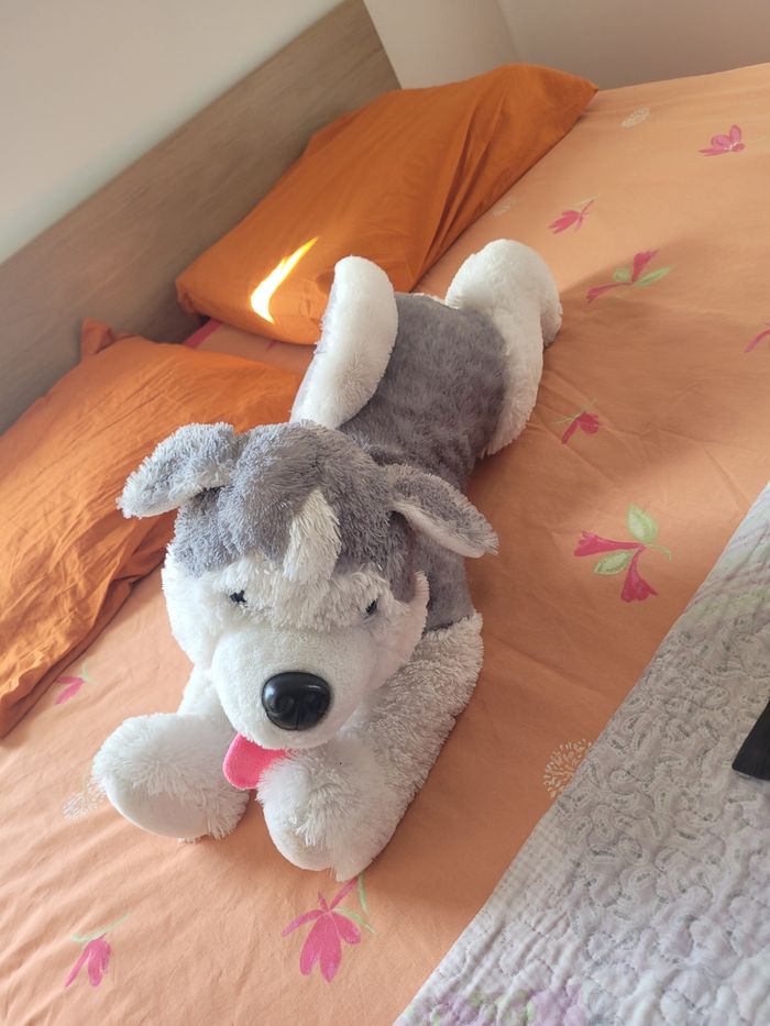 Deux peluches - photo numéro 4