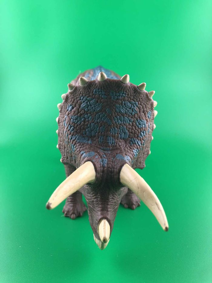 Triceratops - Jurassic World - photo numéro 2