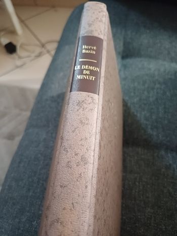 Livre Le démon de Minuit