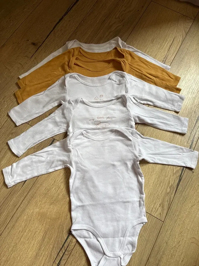 Lot bodies