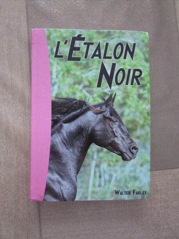 Livre bibliothèque rose L'Étalon noir