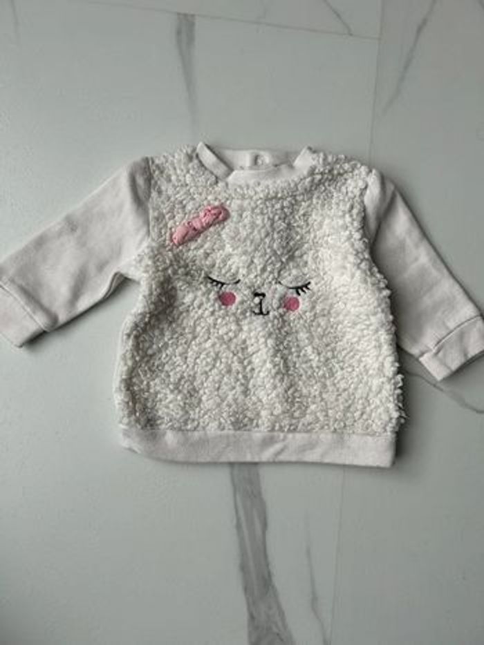 Pull molletonné