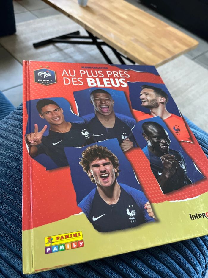 Livre foot panini