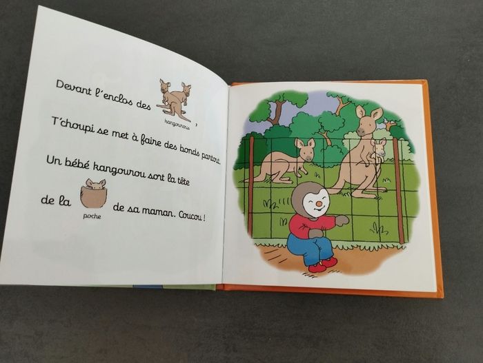 Livre - photo numéro 4