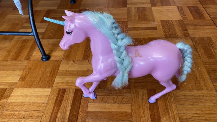 Licorne - photo numéro 2