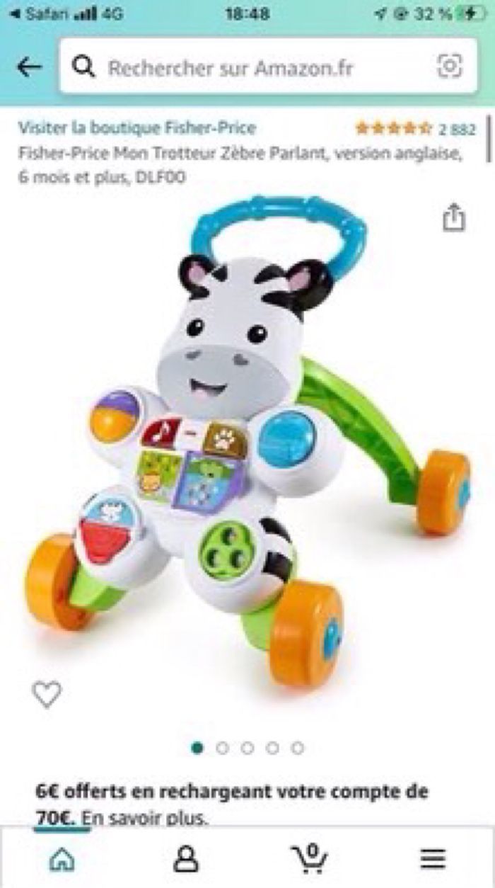 Trotteur zèbre - photo numéro 4