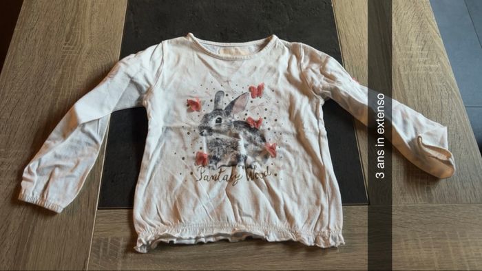 Lot de tee shirt manches longues - photo numéro 2