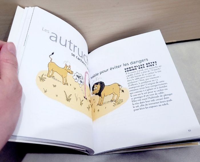 📚 Livre : toutes les bêtises sur la nature que les grands racontent aux enfants - photo numéro 4