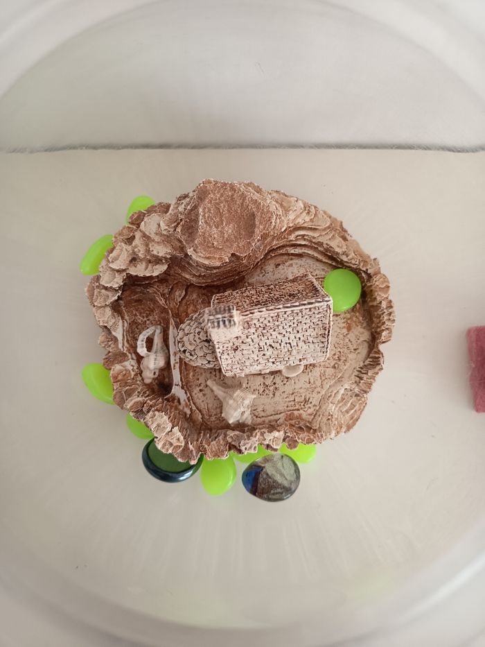 Petit aquarium plastique - photo numéro 2