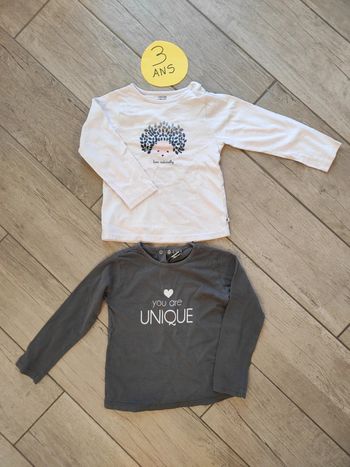 Lot de 2 t-shirt manches longues fille 3 ans hérisson