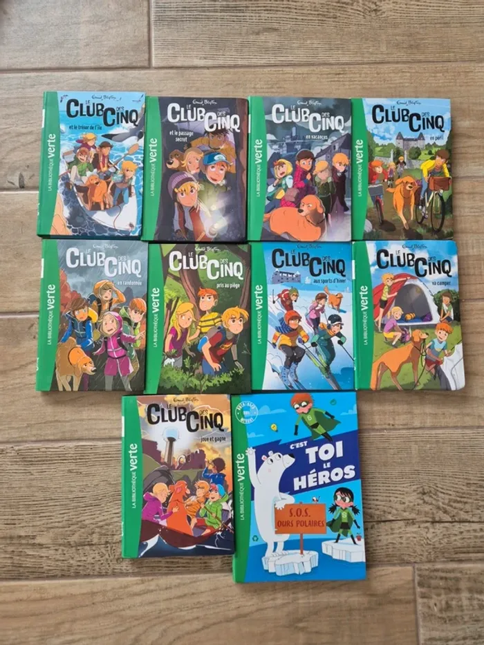 Lot de livres bibliothèque verte Le club des cinq + c'est toi le héros