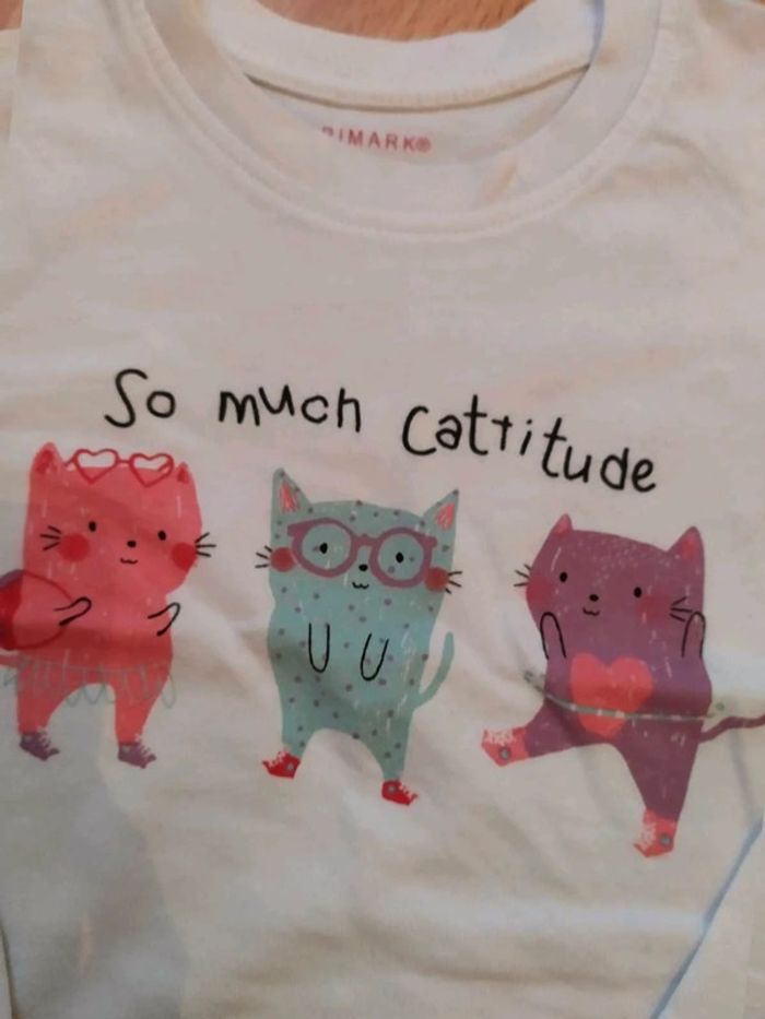 Ensemble ou lot 2 pièces - photo numéro 4