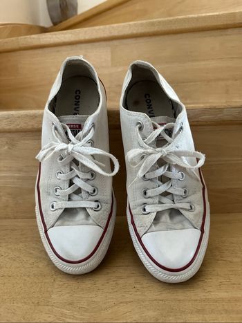 Converses  basses taille 41.5