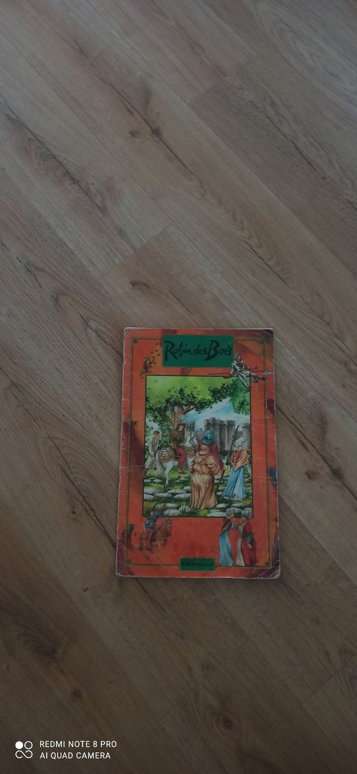 Livre geant Robin Des Bois