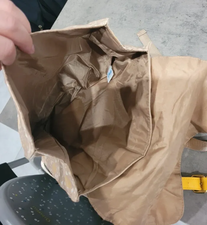 Sac à dos Simba Disney - photo numéro 4