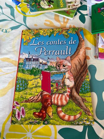 Livre les contes de Perrault