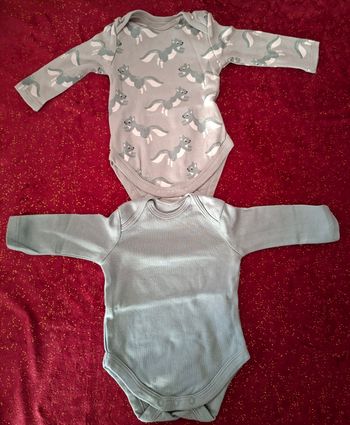 Lot de 2 bodies 1 mois