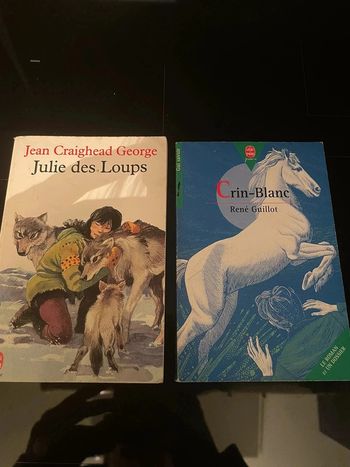 Lot de 2 livre de poche