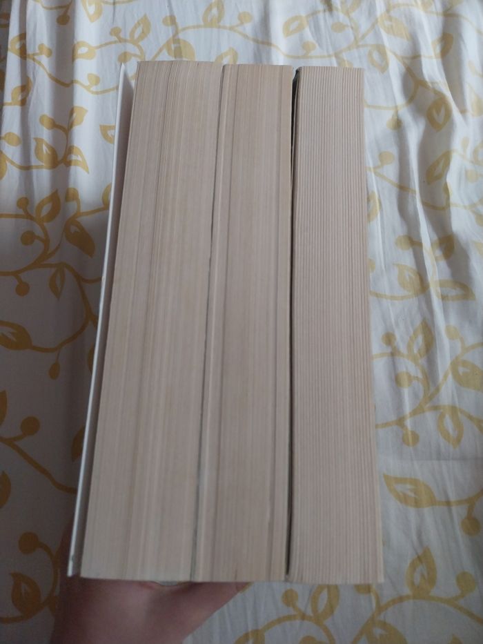 Romans Trilogie complète Angelfall tomes 1 à 3 L'Ultime Espoir Susan Ee - photo numéro 5