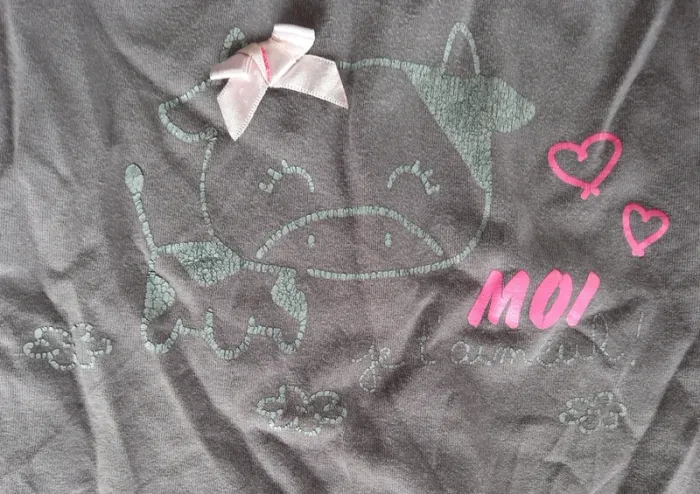 Tee-shirts 24 mois - photo numéro 5
