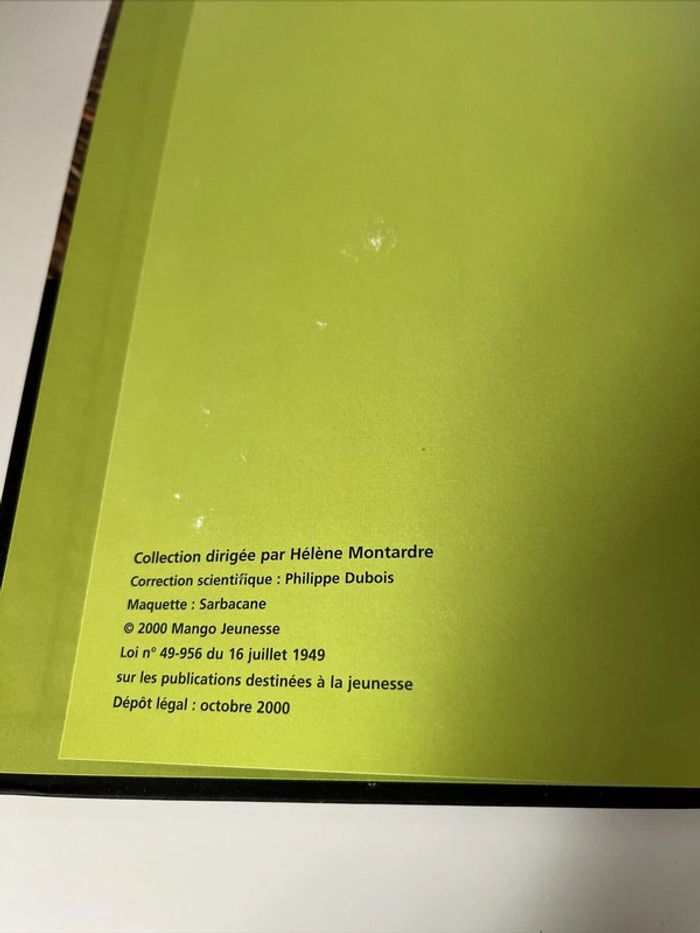 Livre Le Petit Castor - Qui Es Tu ? Mango Jeunesse - Christian Marie - photo numéro 3