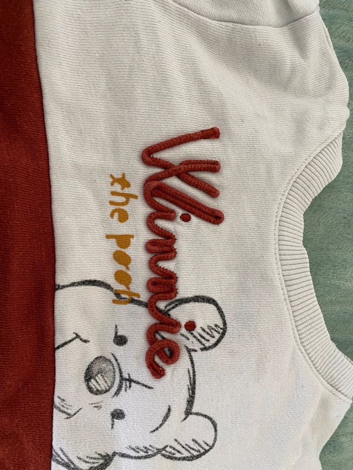 Lot sweat bébé 12 mois - photo numéro 9